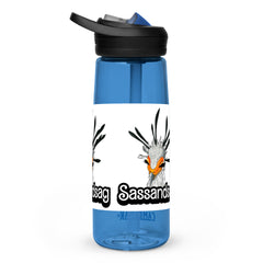 Sports water bottle