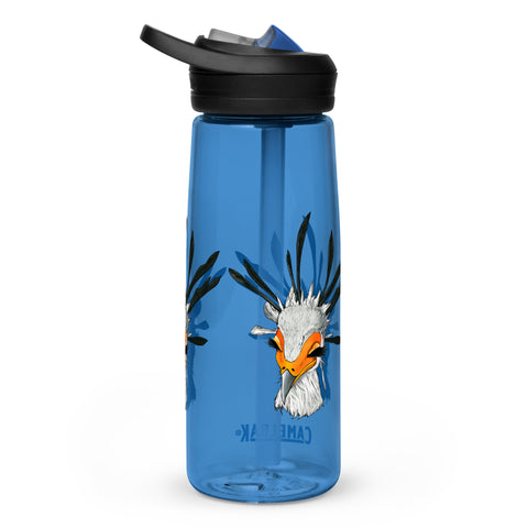 Sports water bottle