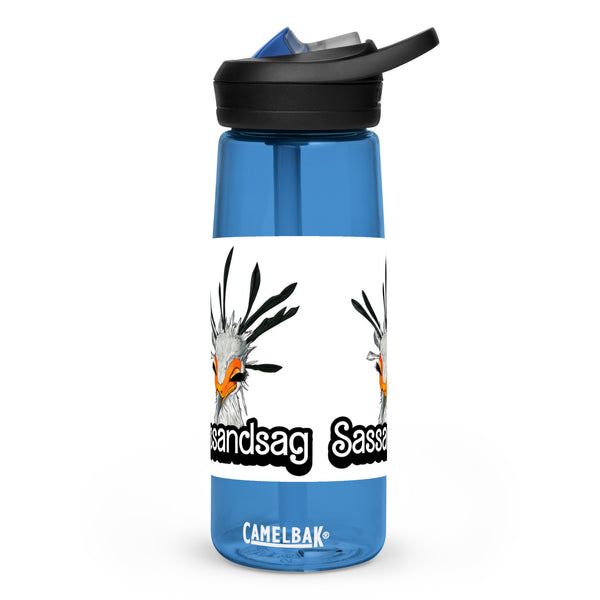 Sports water bottle