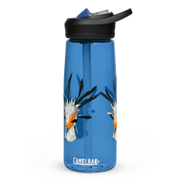 Sports water bottle