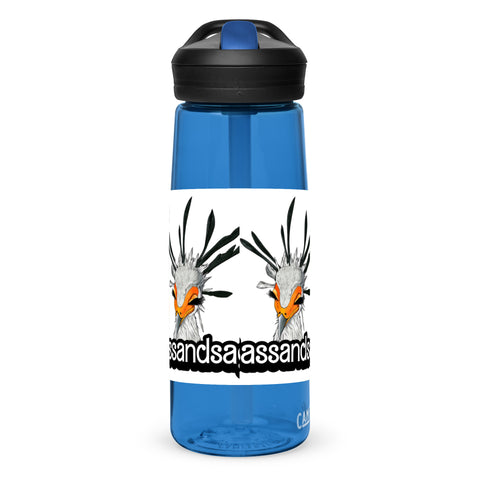 Sports water bottle