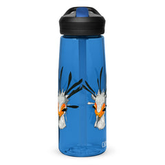 Sports water bottle